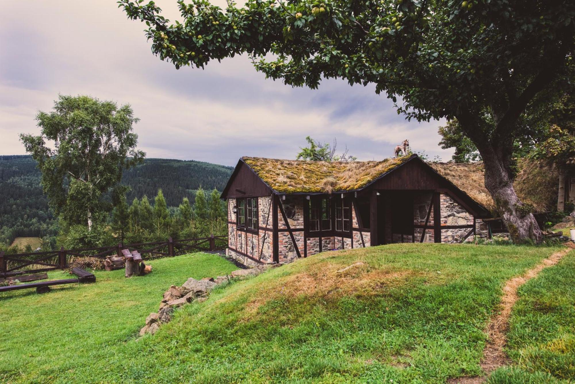 Willa Z Gwarantowanym Widokiem Na Gory Aleksander Panorama Swieradow-Zdroj Exterior photo